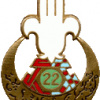 French Army 22nd Algerian Tirailleurs Regiment pocket badge