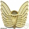 Royal Australian Navy paratrooper metal wings img25897