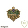 French Army 14th Senegalese Tirailleurs Regiment pocket badge img25883