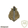 French Army 11th Senegalese Tirailleurs Regiment pocket badge
