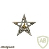 French Army 4th Moroccan Tirailleurs Regiment pocket badge