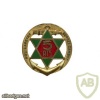 French Army 5th Senegalese Tirailleurs Regiment pocket badge