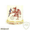 2ND CHEMICAL BATTALION img26034