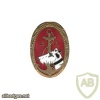 FRANCE 33rd Colonial Infantry Regiment pocket badge