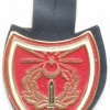 TURKEY Turkish Army unidentified pocket badge #1 img25983