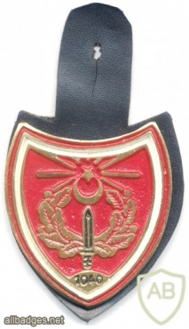  TURKEY Turkish Army unidentified pocket badge #1 img25983