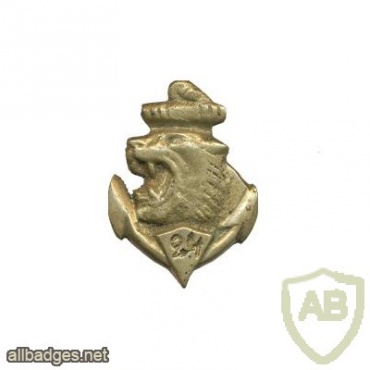 FRANCE 24th Colonial Infantry Regiment pocket badge, local made in Syria img26038