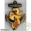 French Army 24th Senegalese Tirailleurs Regiment pocket badge
