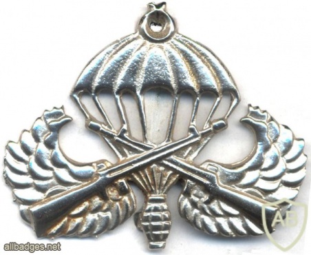 TURKEY Army Parachutist qualification badge img26011