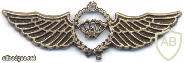 TURKEY Army Special Forces Free Fall Parachutist qualification badge, 1990s img26013