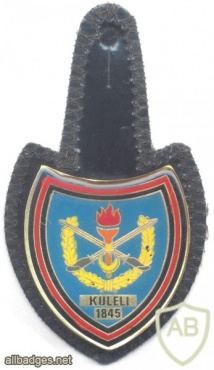 TURKEY "Kuleli" Military Officer School pocket badge #2 img25998