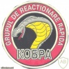 MOLDOVA Police Rapid Response Unit "Cobra" sleeve patch