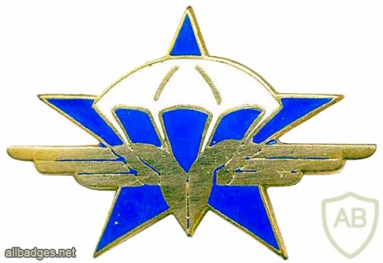French 1st Parachute Huntsmen Regiment badge, type 2 img26154