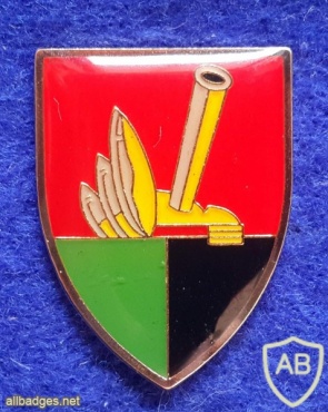 454th Artillery Divisional - Tavor Formation img26167