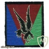 FRANCE 10th Parachute Division patch
