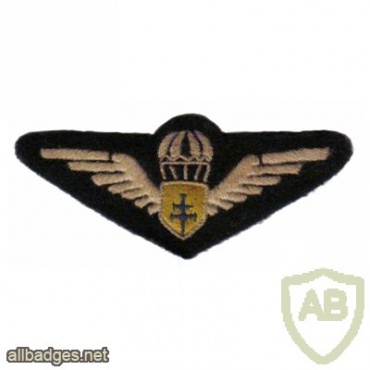 Free French Parachute Brevet badge img26157