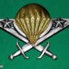 CAMEROON Parachutist wings, Other branches img26269