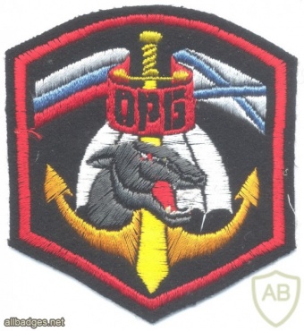RUSSIAN FEDERATION 263rd Independent Naval Infantry Reconnaissance Battalion sleeve patch img26289