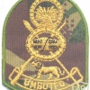 SWAZILAND Army beret badge, cloth img26287