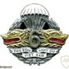 French 6th Vietnamese Parachute Battalion pocket badge