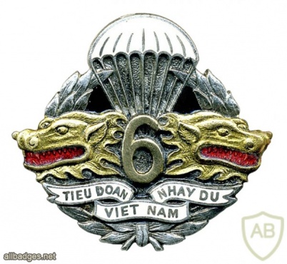 French 6th Vietnamese Parachute Battalion pocket badge img26312