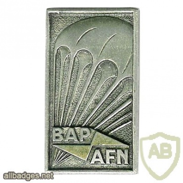 FRANCE North Africa airborne base (BAP/AFN) in Algeria pocket badge img26307