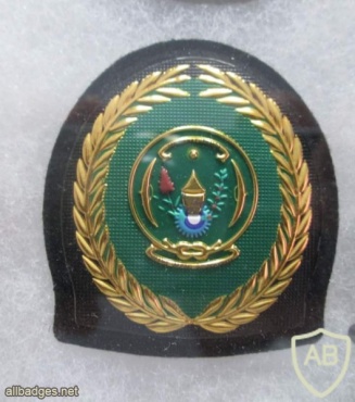 Rwanda Defence Forces cap badge img26515