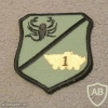 Macedonia Army 1st Motorised Infantry Brigade, 1st Battalion patch