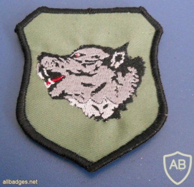 Macedonia Army Special Forces Battalion "Wolves" patch, green img26575