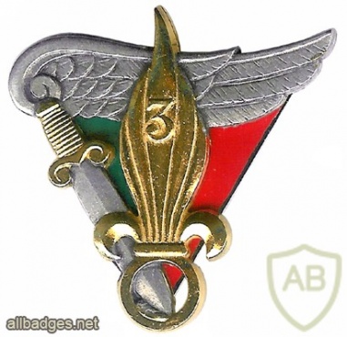 French Foreign Legion 3rd Parachute Regiment pocket badge img26606