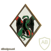 French Foreign Legion 1st Foreign Regiment pocket badge