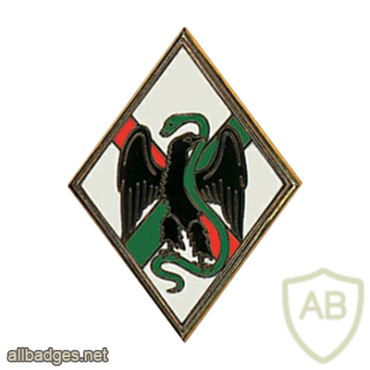 French Foreign Legion 1st Foreign Regiment pocket badge img26608