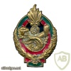 French Foreign Legion 5th Infantry Regiment pocket badge, type 2