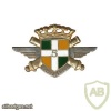 FRANCE 5th Airborne Artillery Regiment pocket badge