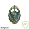 French Foreign Legion 5th Infantry Regiment pocket badge, type 1 img26612