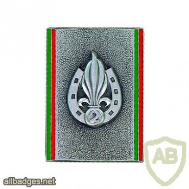 French Foreign Legion 2nd Infantry Regiment pocket badge img26611