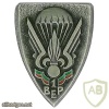 French Foreign Legion 1st Parachute Battalion pocket badge img26602