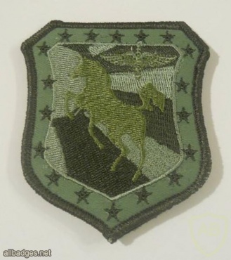 Macedonia Air Force Transport Helicopter Squadron patch, subdued img26645