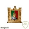 French Foreign Legion 5th Foreign Regiment pocket badge