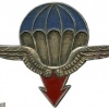France 25th Airborne Division pocket badge