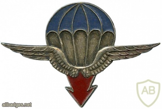 France 25th Airborne Division pocket badge img26594