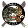 French Foreign Legion The equatorial jungle training center pocket badge, type 4