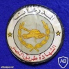 Syria Army Armored Corps patch