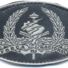 BRAZIL National Public Security Force rubberized brest badge, velcro img26755
