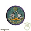 IRAN Air Force Flight School center patch