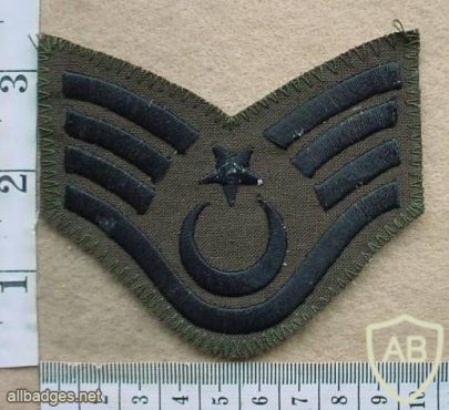 Turkey Army Technical Sergeant rank badge, combat dress img26820