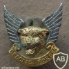 Transkei Special Forces cap badge img26827