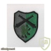 Poland 16th Artillery Regiment patch, subdued  img26848