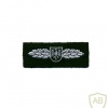 GERMANY Grenzschutzgruppe 9 GSG9 Counter-Terrorism Police Unit badge img26871