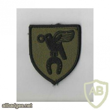 Poland 20th Mechanized Brigade, subdued patch img26900
